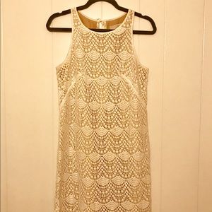 Pretty lace dress from Loft